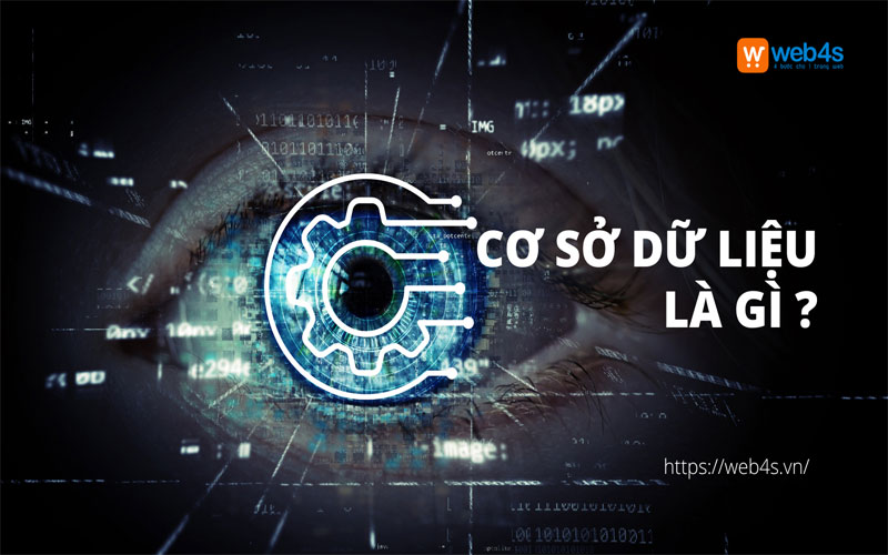 Khái niệm cơ sở dữ liệu là gì?